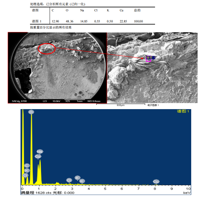 华南检测|SEM EDS成分分析|13926867016