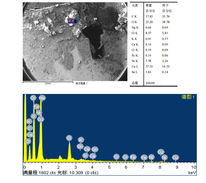 华南检测|扫描电镜检测|EDS能谱检测