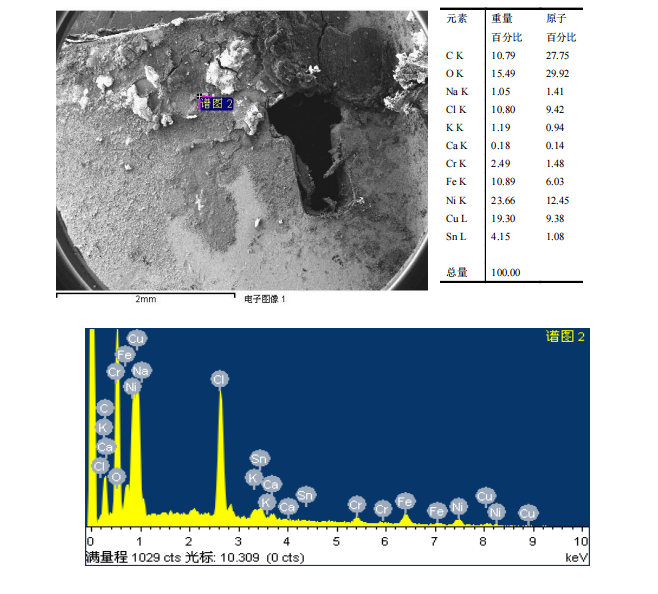 华南检测|扫描电镜检测|EDS能谱检测