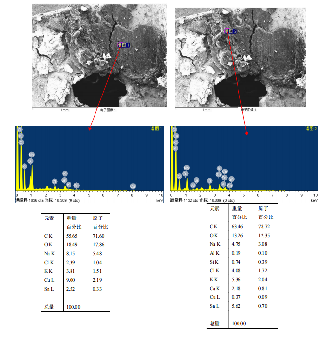 华南检测|扫描电镜检测|EDS能谱检测