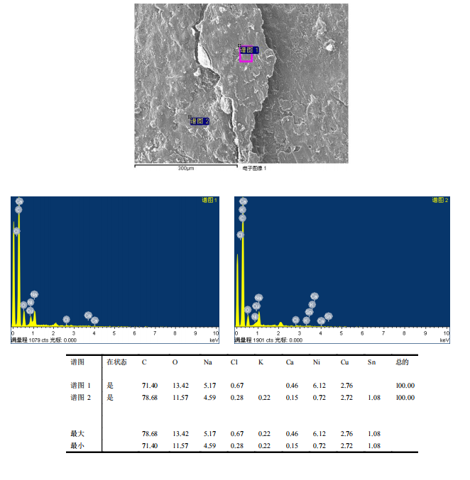 华南检测|扫描电镜检测|EDS能谱检测