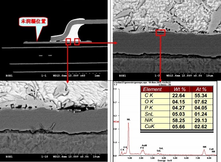 焊点切片SEM-EDS分析