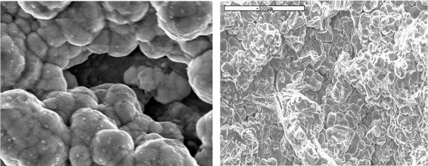 第三方电镜(SEM/TEM)图片