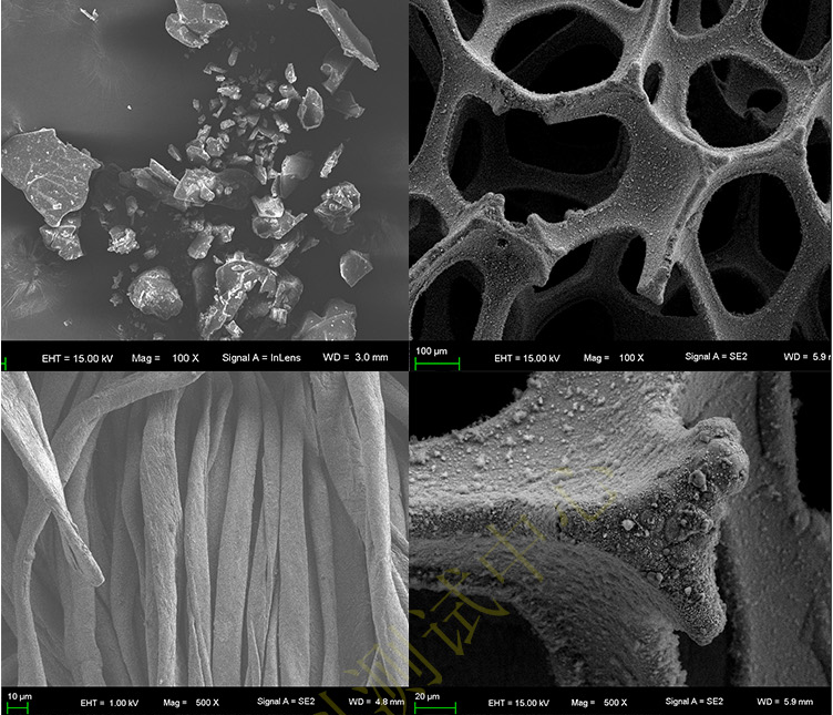 第三方电镜(SEM/TEM)图片案例