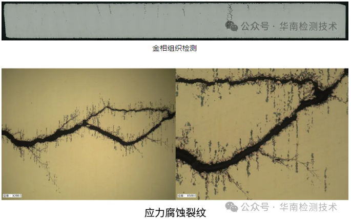 显微结构分析