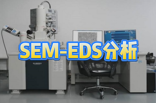 SEM-EDS分析