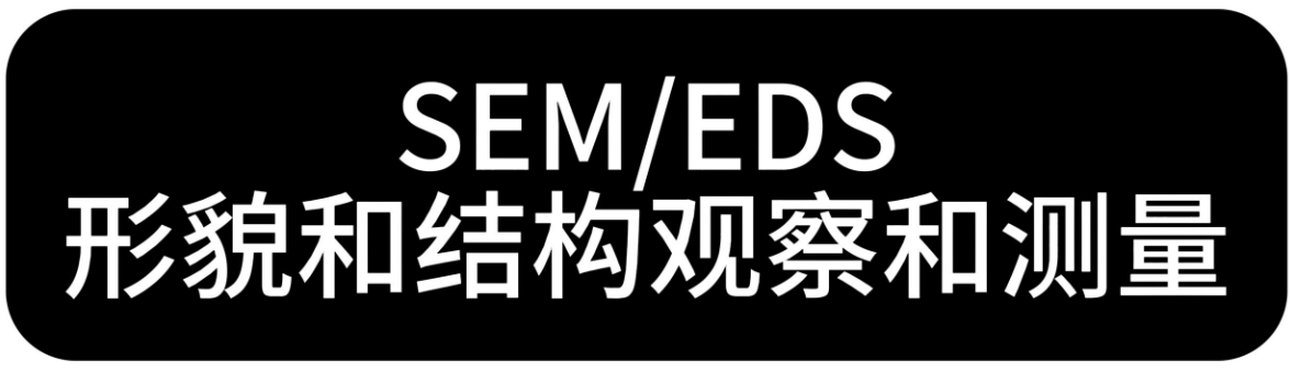 SEM-EDS分析