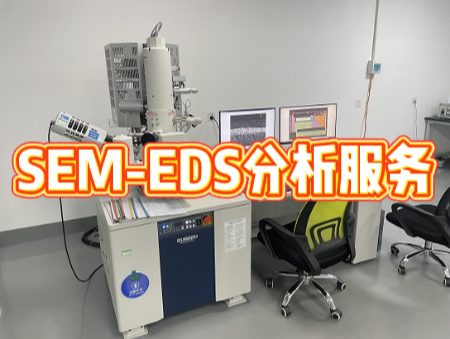 SEM-EDS分析