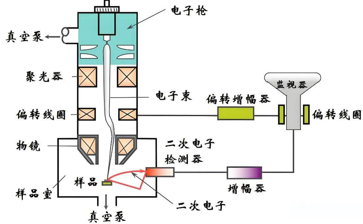 EDS能谱分析