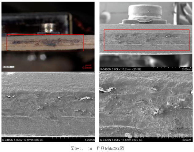 SEM/EDS分析 SEM/EDS分析