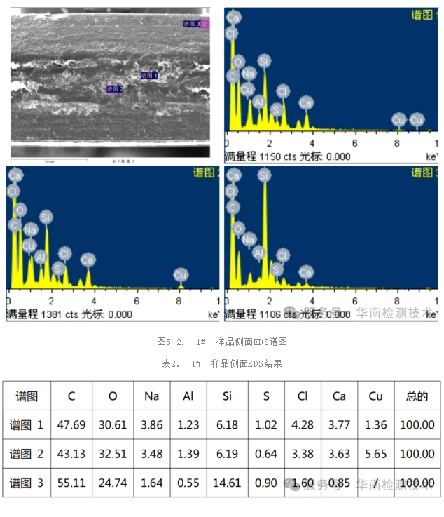 SEM/EDS分析 SEM/EDS分析