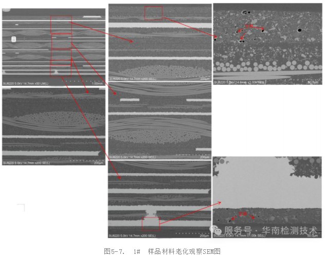SEM/EDS分析 SEM/EDS分析