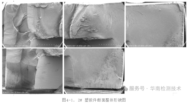 SEM(扫描电子显微镜)观察 SEM(扫描电子显微镜)观察