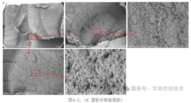 SEM(扫描电子显微镜)观察 SEM(扫描电子显微镜)观察