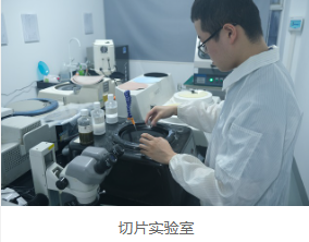 破坏性物理分析