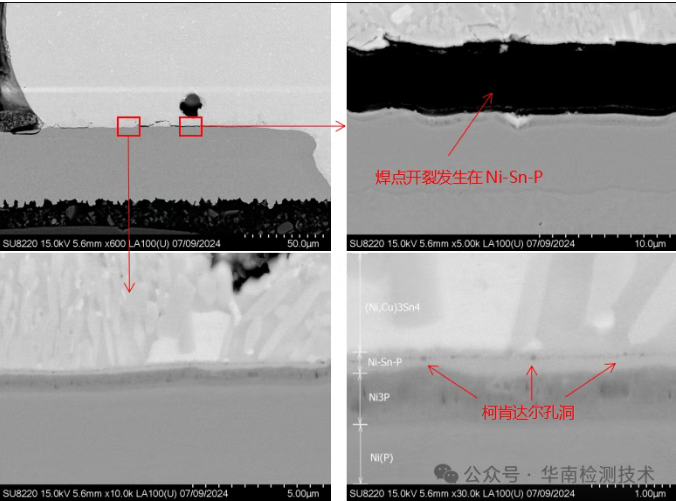 失效分析第三步：SEM/EDS，探寻开裂的根源