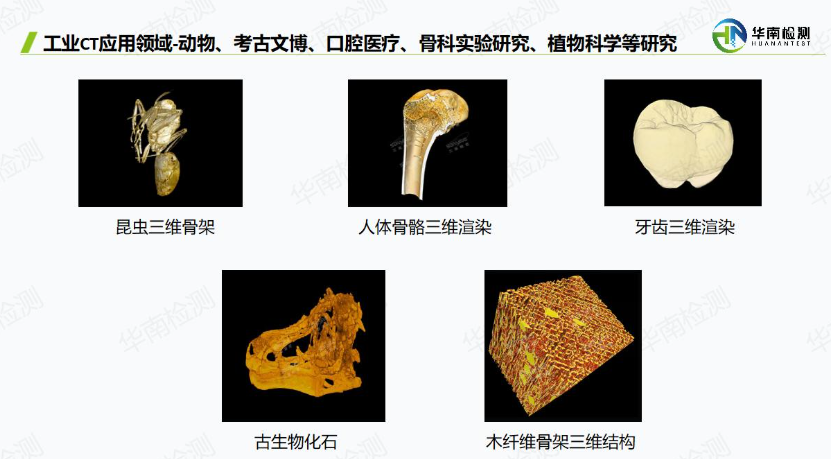 工业CT扫描科研教育领域 工业CT扫描科研教育领域