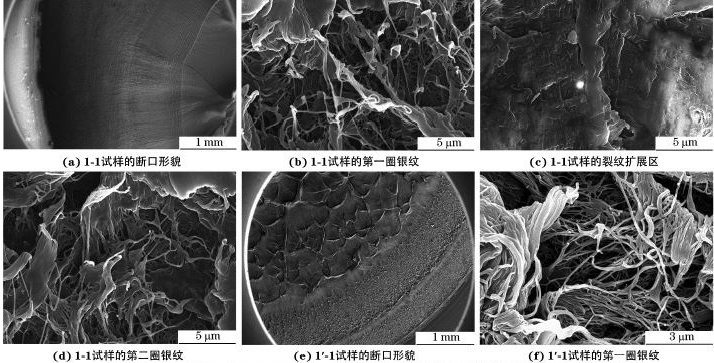金属材料与构件失效分析 金属材料与构件失效分析