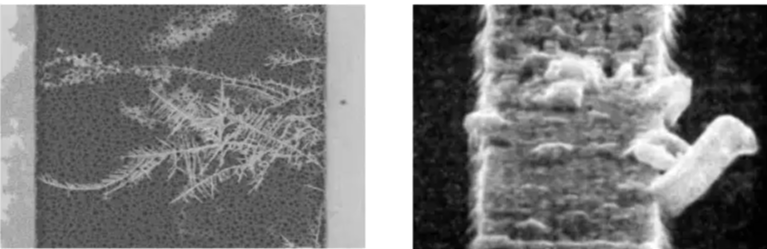 金属互连迁移 金属互连迁移