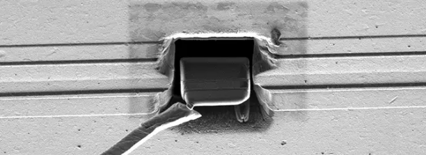 扫描电子显微镜 扫描电子显微镜