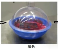 BGA红墨水检测